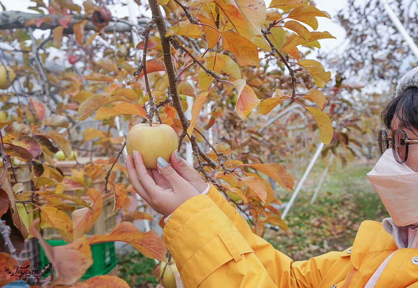 群馬沼田古民宅蘋果披薩體驗&老神溫泉一日遊!南鄉曲屋|吹割瀑布|新井耕吉郎紀念碑|金子果園|仙鄉溫泉 @緹雅瑪 美食旅遊趣