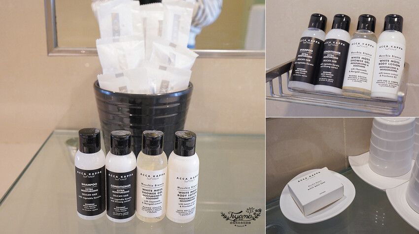 南投日月潭住宿。日月潭大淶閣飯店一泊二食:水社碼頭湖景客房,免費腳踏車遊向山遊客中心 @緹雅瑪 美食旅遊趣