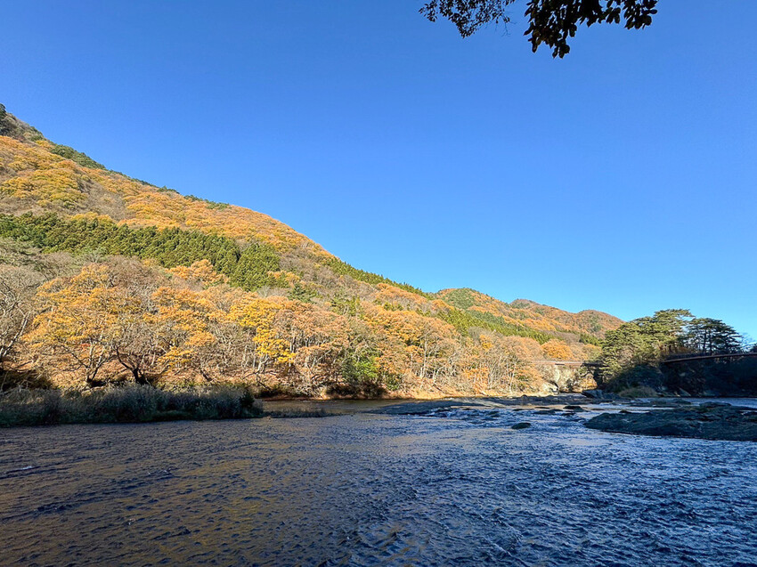 群馬沼田古民宅蘋果披薩體驗&老神溫泉一日遊!南鄉曲屋|吹割瀑布|新井耕吉郎紀念碑|金子果園|仙鄉溫泉 @緹雅瑪 美食旅遊趣