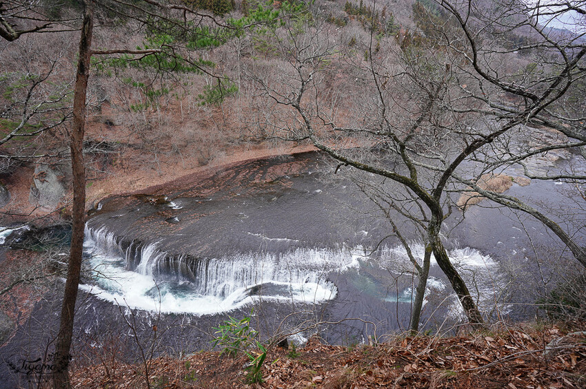 群馬沼田古民宅蘋果披薩體驗&老神溫泉一日遊!南鄉曲屋|吹割瀑布|新井耕吉郎紀念碑|金子果園|仙鄉溫泉 @緹雅瑪 美食旅遊趣