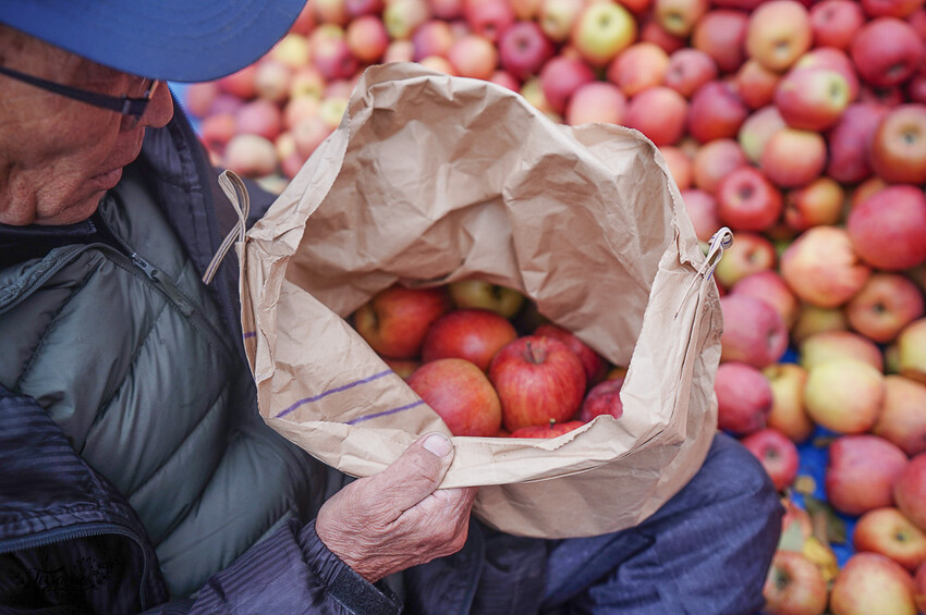 群馬沼田古民宅蘋果披薩體驗&老神溫泉一日遊!南鄉曲屋|吹割瀑布|新井耕吉郎紀念碑|金子果園|仙鄉溫泉 @緹雅瑪 美食旅遊趣