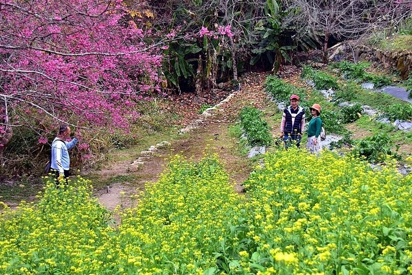 水里【阿本農場】 水里【阿本農場】