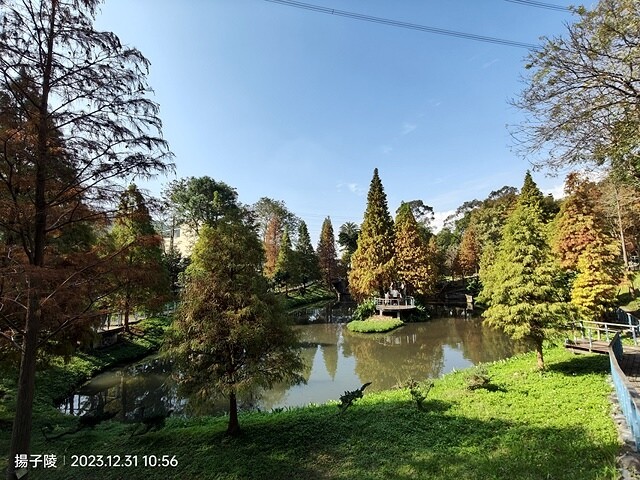 2024汐止拱北殿,23/12/31即時楓況|2024長庚養