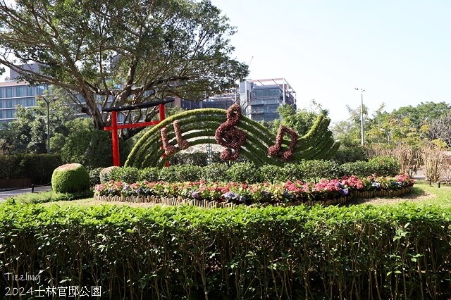 2024原住民文化主題公園，落羽松01/18即時狀況｜202