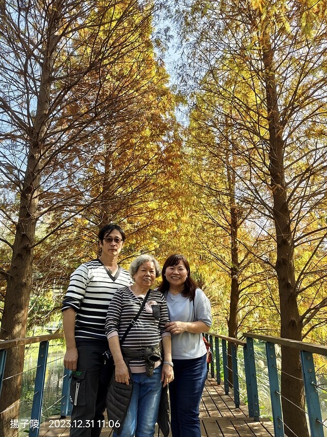 2024汐止拱北殿,23/12/31即時楓況|2024長庚養