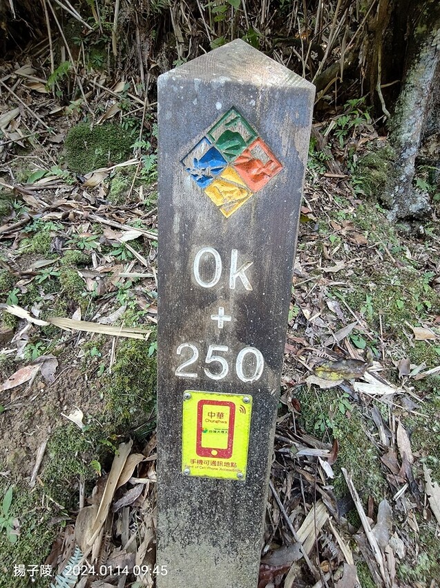 2024新北坪林金瓜寮魚蕨步道,健行趣|坪林老街|坪林茶業博