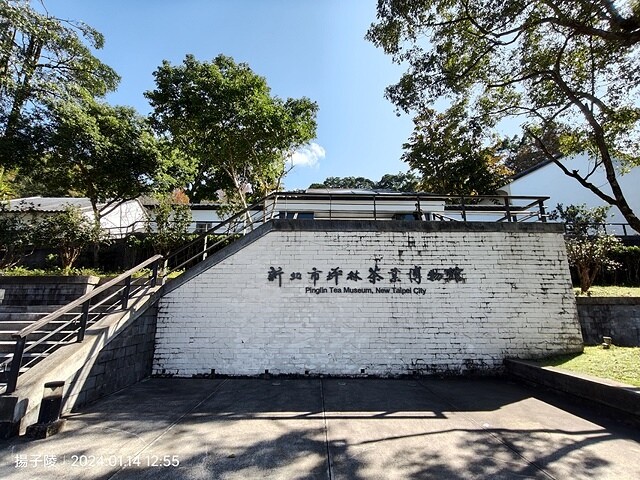 2024新北坪林金瓜寮魚蕨步道,健行趣|坪林老街|坪林茶業博