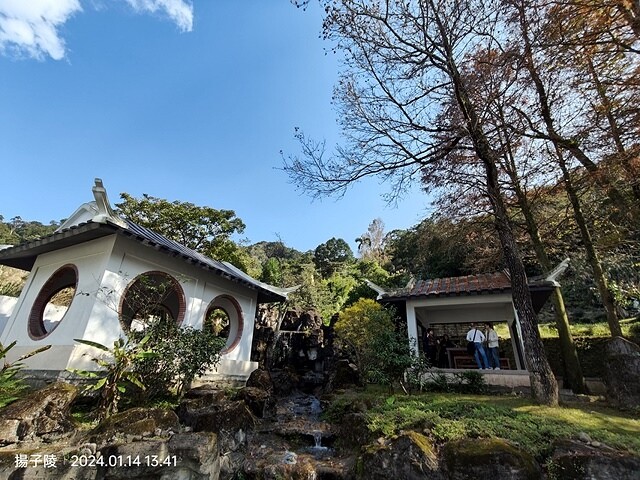 2024新北坪林金瓜寮魚蕨步道,健行趣|坪林老街|坪林茶業博