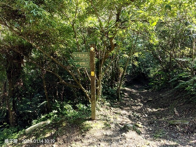 2024新北坪林金瓜寮魚蕨步道,健行趣|坪林老街|坪林茶業博