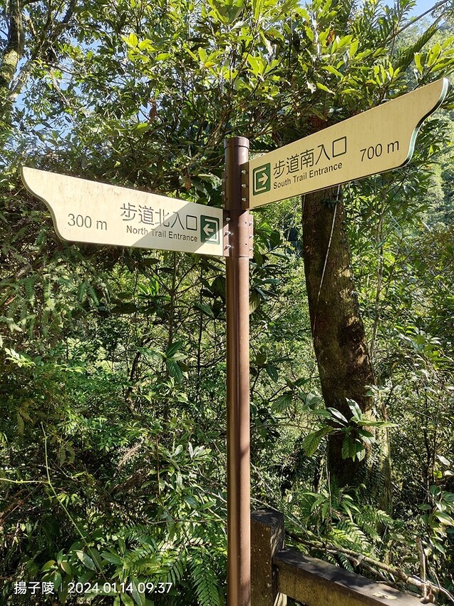 2024新北坪林金瓜寮魚蕨步道,健行趣|坪林老街|坪林茶業博