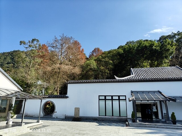 2024新北坪林金瓜寮魚蕨步道,健行趣|坪林老街|坪林茶業博