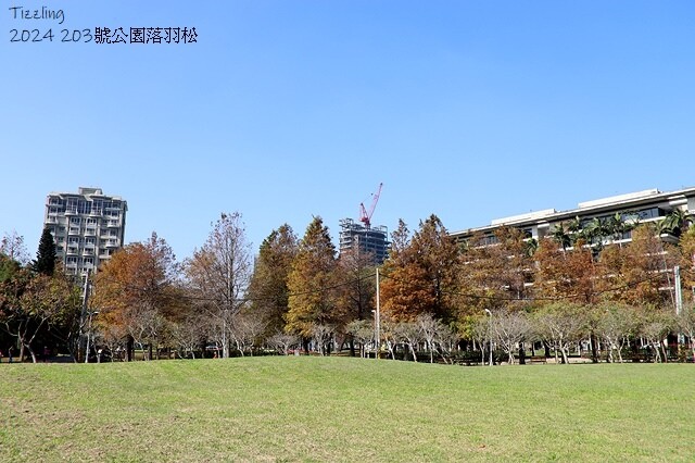 2024原住民文化主題公園，落羽松01/18即時狀況｜202