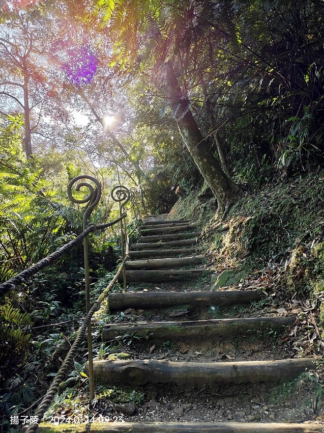 2024新北坪林金瓜寮魚蕨步道,健行趣|坪林老街|坪林茶業博