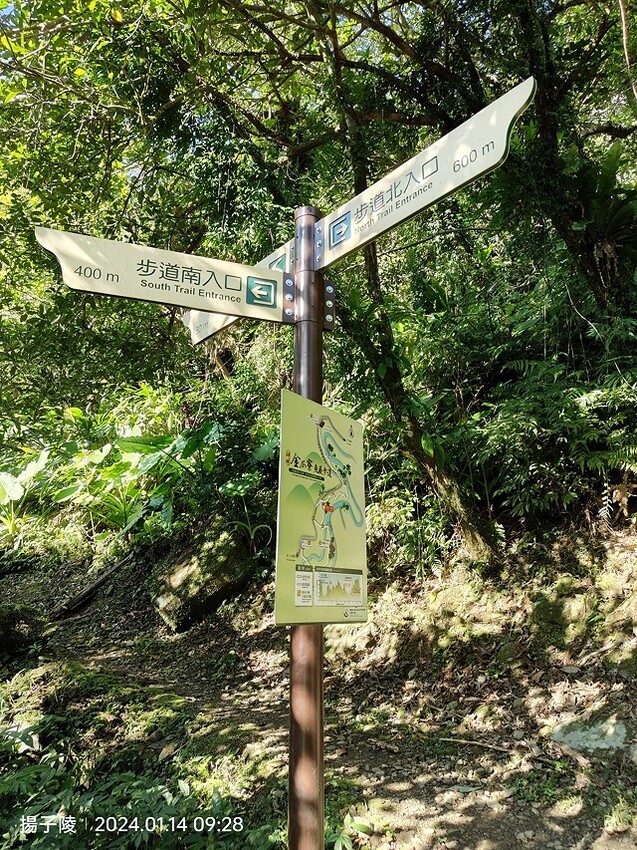 2024新北坪林金瓜寮魚蕨步道,健行趣|坪林老街|坪林茶業博