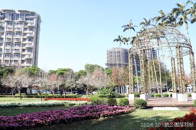 2024原住民文化主題公園，落羽松01/18即時狀況｜202