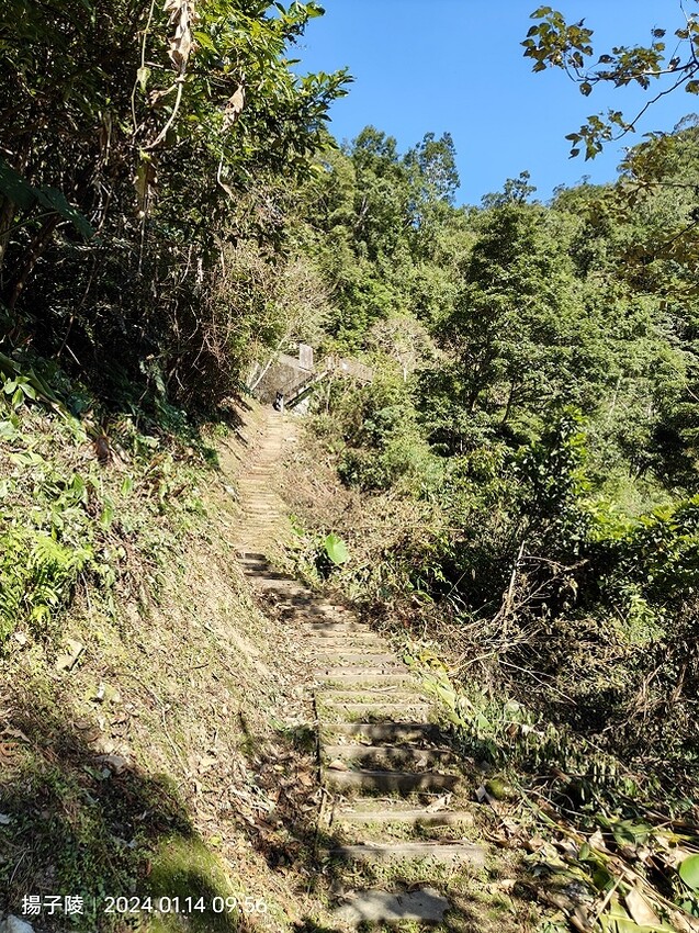 2024新北坪林金瓜寮魚蕨步道,健行趣|坪林老街|坪林茶業博