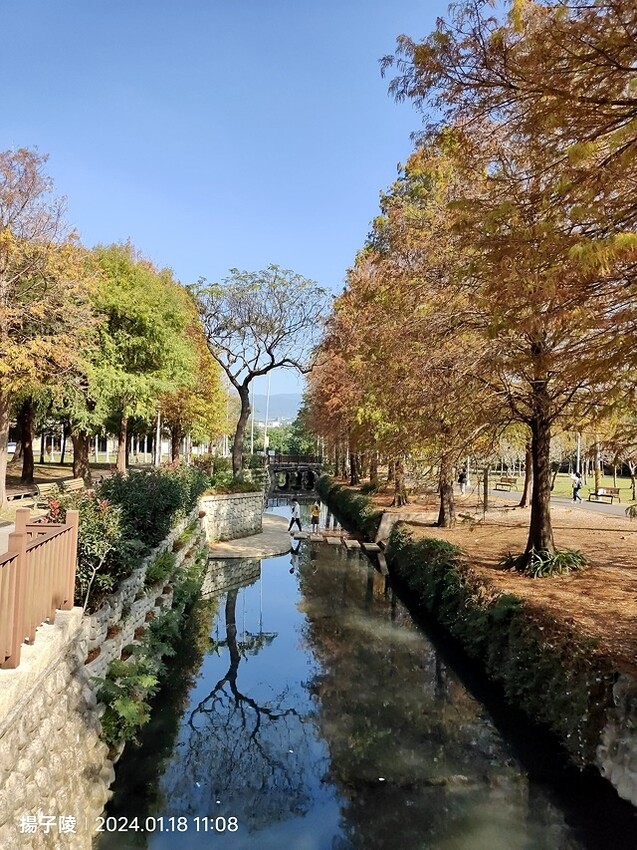 2024原住民文化主題公園，落羽松01/18即時狀況｜202