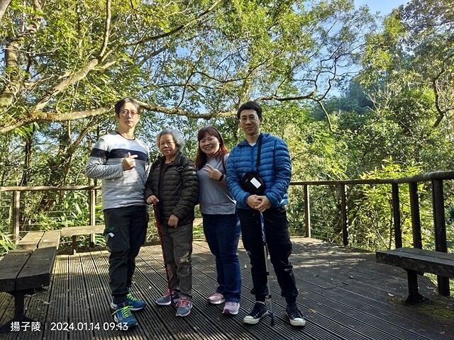 2024新北坪林金瓜寮魚蕨步道,健行趣|坪林老街|坪林茶業博