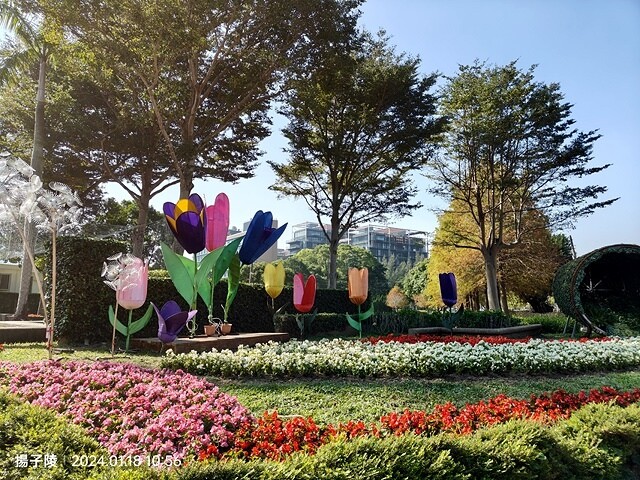 2024原住民文化主題公園，落羽松01/18即時狀況｜202