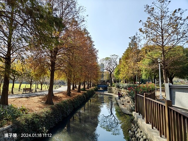 2024原住民文化主題公園，落羽松01/18即時狀況｜202