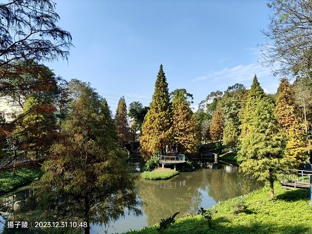 2024汐止拱北殿,23/12/31即時楓況|2024長庚養