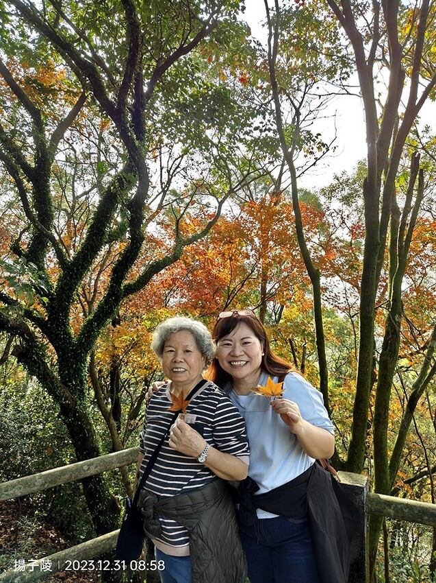 2024汐止拱北殿,23/12/31即時楓況|2024長庚養