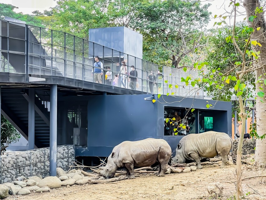 高雄市鼓山區壽山動物園 – AR解謎包 x 釋放探險心情 揭開動物神秘面紗