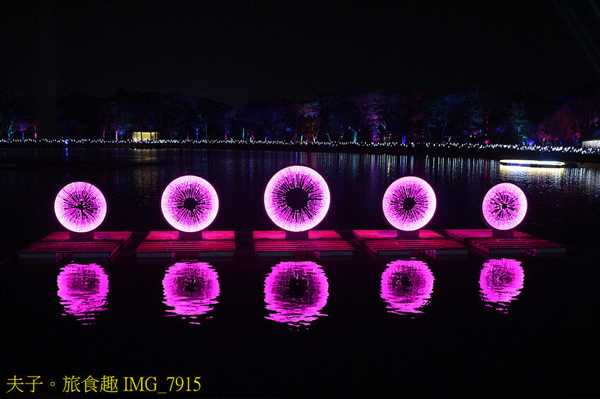 新營波光節 點亮天鵝湖心漣漪 新營波光節 點亮天鵝湖心漣漪