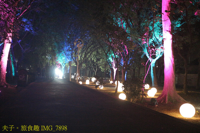 新營波光節 點亮天鵝湖心漣漪 新營波光節 點亮天鵝湖心漣漪