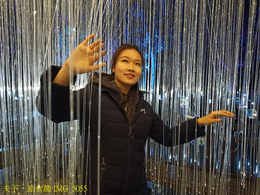 新營波光節 點亮天鵝湖心漣漪 新營波光節 點亮天鵝湖心漣漪