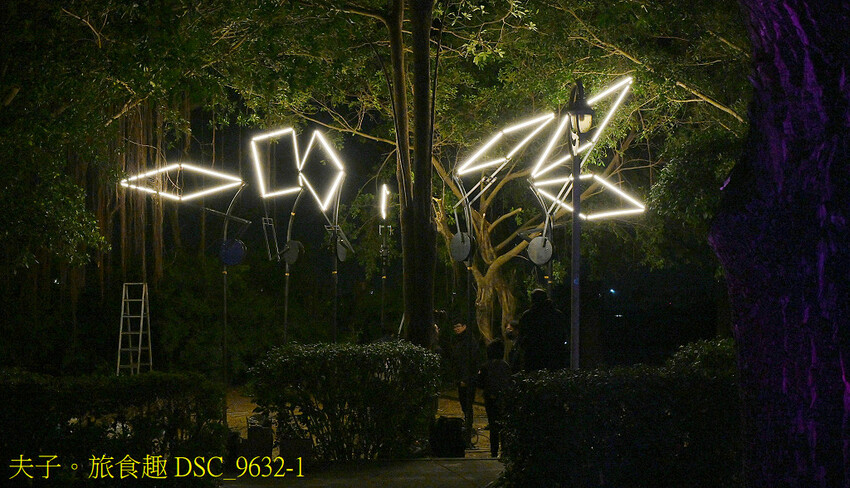 新營波光節 點亮天鵝湖心漣漪 新營波光節 點亮天鵝湖心漣漪