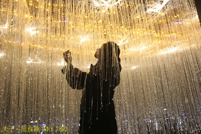 新營波光節 點亮天鵝湖心漣漪 新營波光節 點亮天鵝湖心漣漪