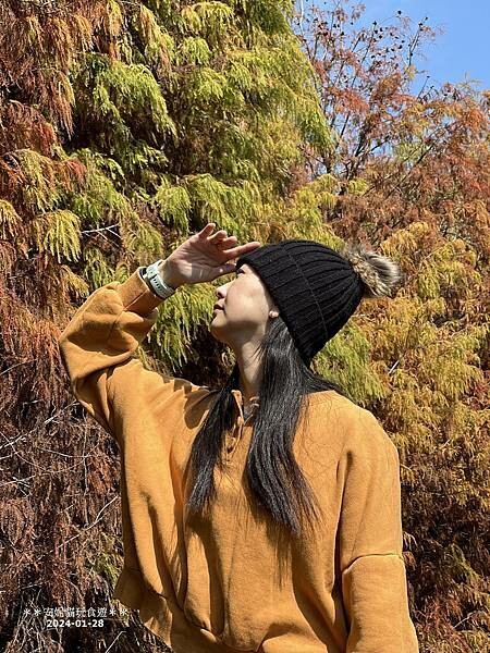 【雲林。林內】不夠紅也很美．九芎落羽松秘境