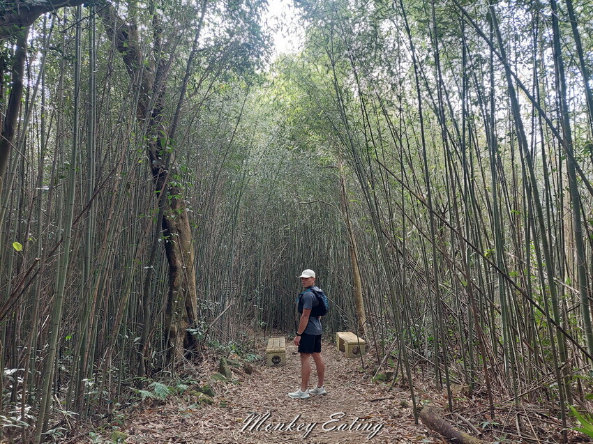 【關刀山步道】苗栗小百岳輕鬆路線,欣賞薑麻園雲海美景。出關古道聖關段 - 貪吃猴的幻想