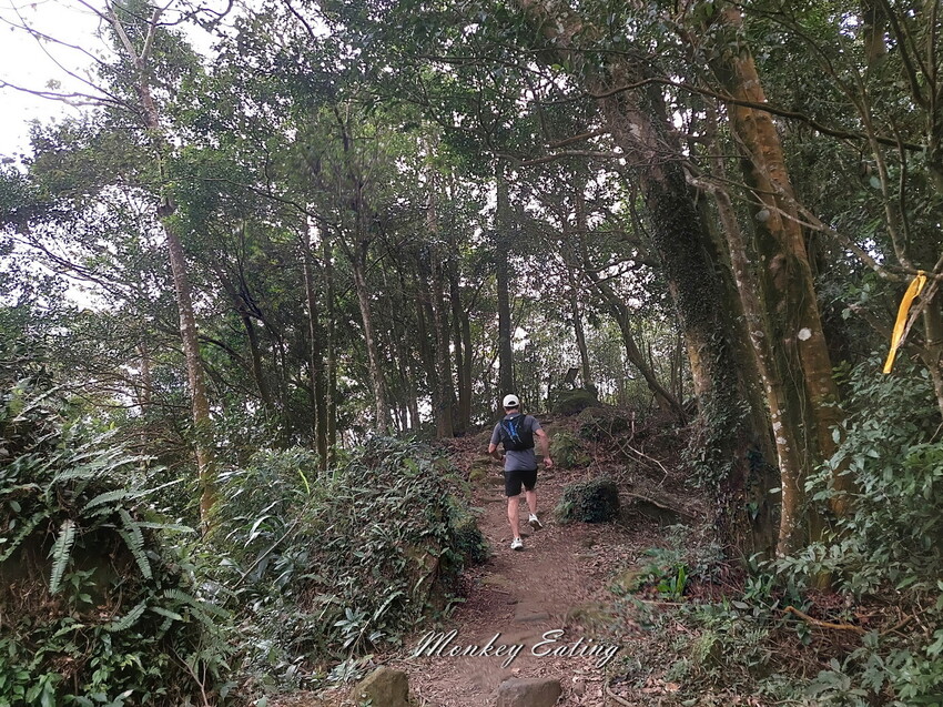 【關刀山步道】苗栗小百岳輕鬆路線,欣賞薑麻園雲海美景。出關古道聖關段 - 貪吃猴的幻想