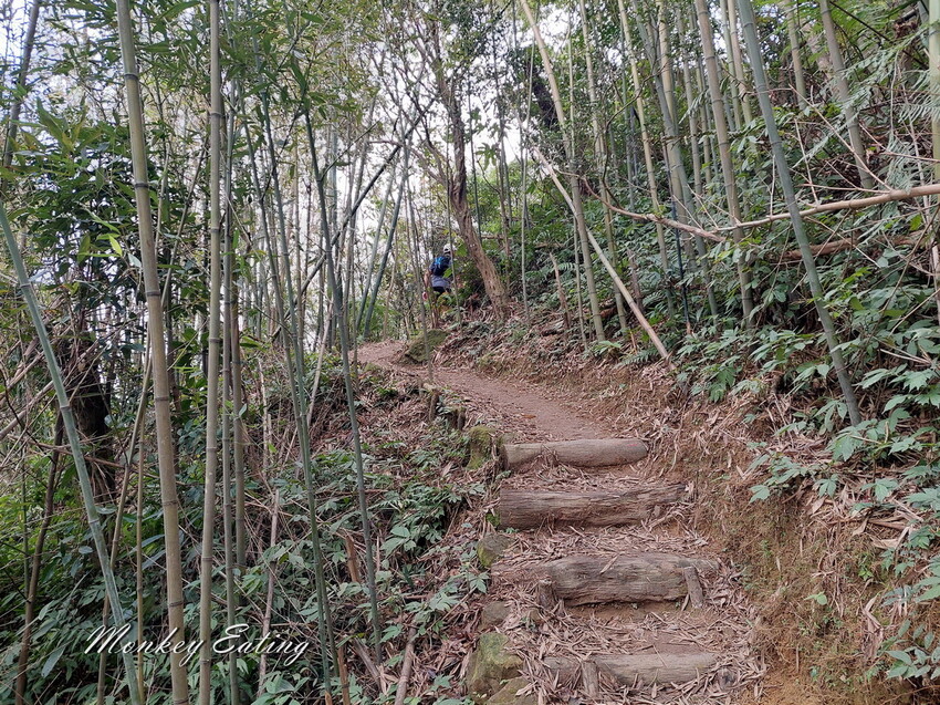 【關刀山步道】苗栗小百岳輕鬆路線,欣賞薑麻園雲海美景。出關古道聖關段 - 貪吃猴的幻想