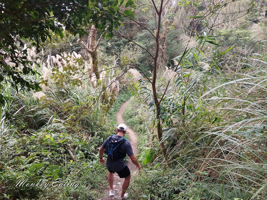 【關刀山步道】苗栗小百岳輕鬆路線,欣賞薑麻園雲海美景。出關古道聖關段 - 貪吃猴的幻想