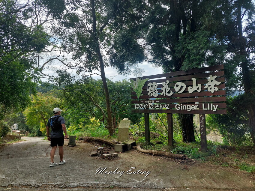 【關刀山步道】苗栗小百岳輕鬆路線,欣賞薑麻園雲海美景。出關古道聖關段 - 貪吃猴的幻想