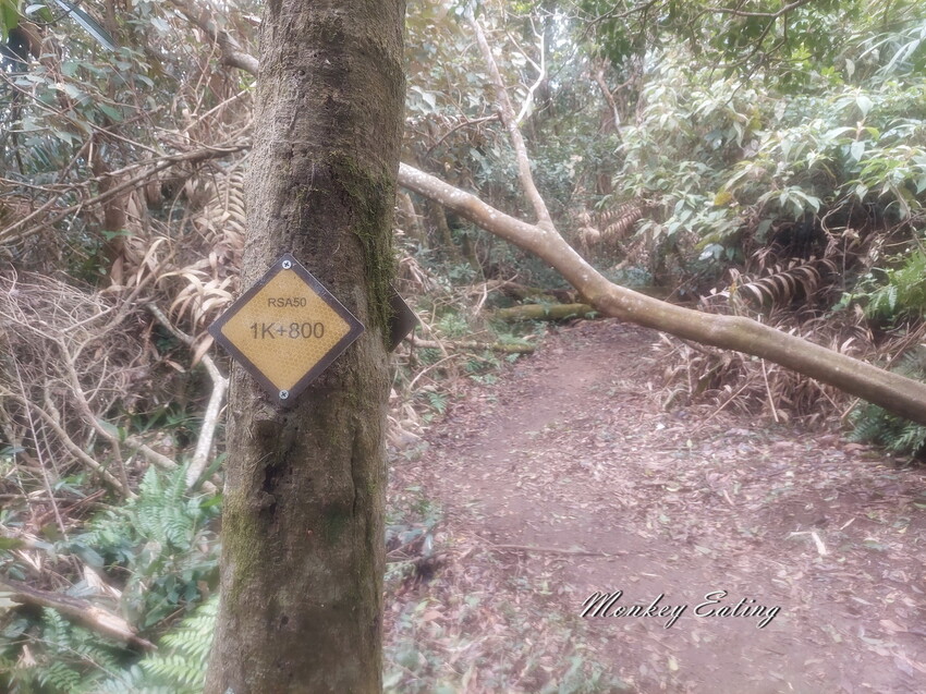 【關刀山步道】苗栗小百岳輕鬆路線,欣賞薑麻園雲海美景。出關古道聖關段 - 貪吃猴的幻想