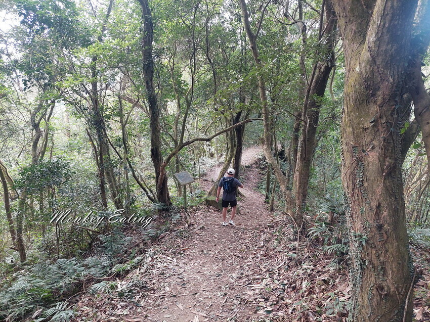 【關刀山步道】苗栗小百岳輕鬆路線,欣賞薑麻園雲海美景。出關古道聖關段 - 貪吃猴的幻想