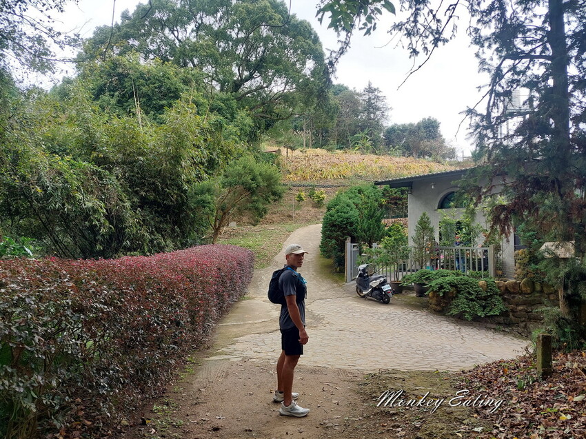 【關刀山步道】苗栗小百岳輕鬆路線,欣賞薑麻園雲海美景。出關古道聖關段 - 貪吃猴的幻想