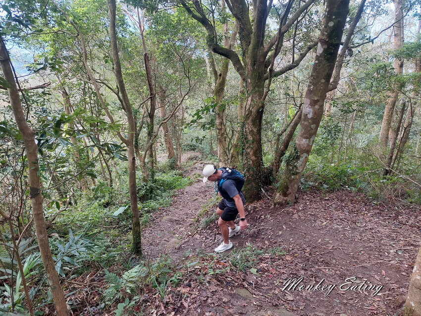 【關刀山步道】苗栗小百岳輕鬆路線,欣賞薑麻園雲海美景。出關古道聖關段 - 貪吃猴的幻想