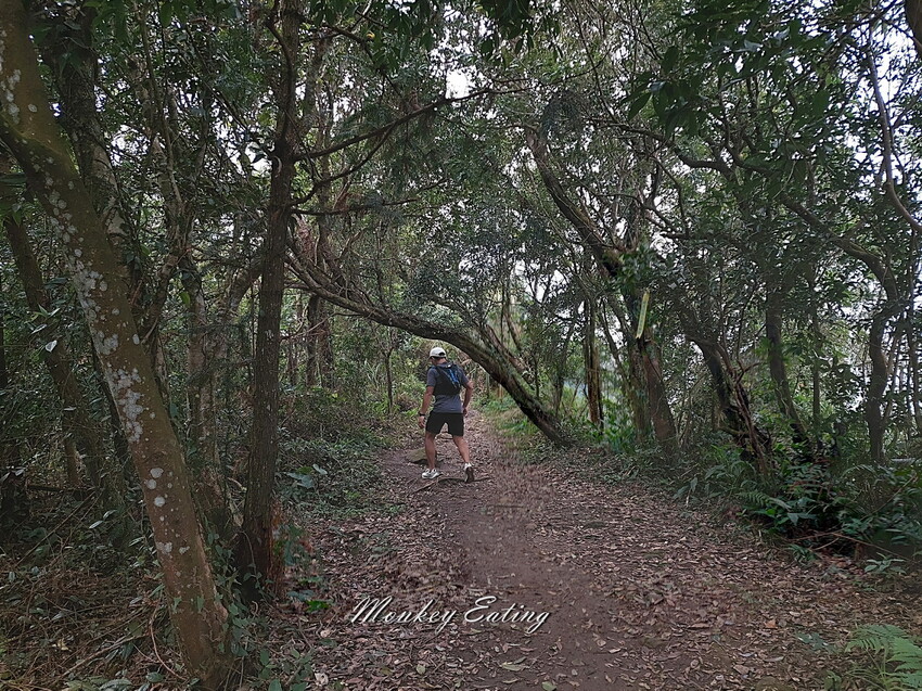 【關刀山步道】苗栗小百岳輕鬆路線,欣賞薑麻園雲海美景。出關古道聖關段 - 貪吃猴的幻想