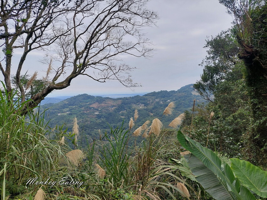 【關刀山步道】苗栗小百岳輕鬆路線,欣賞薑麻園雲海美景。出關古道聖關段 - 貪吃猴的幻想