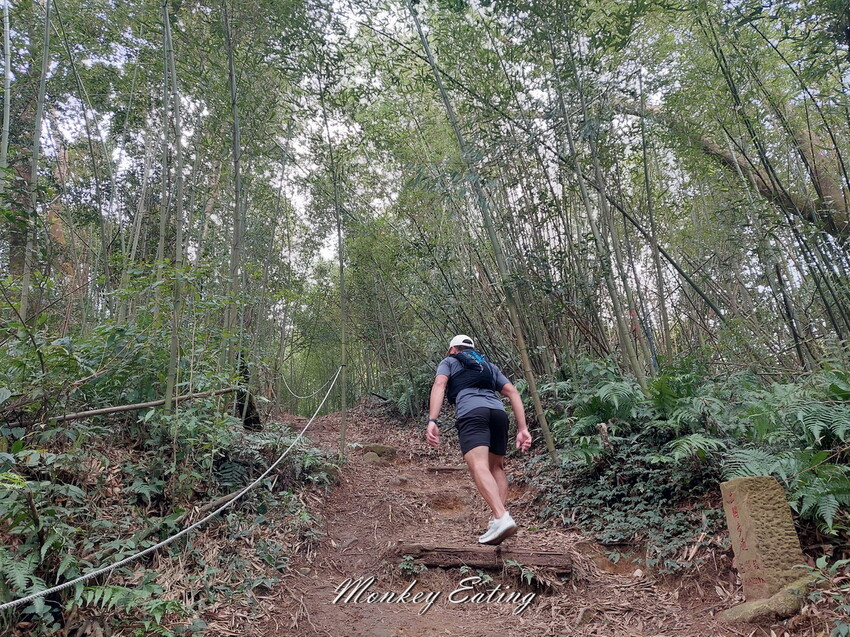 【關刀山步道】苗栗小百岳輕鬆路線,欣賞薑麻園雲海美景。出關古道聖關段 - 貪吃猴的幻想