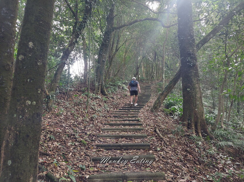 【關刀山步道】苗栗小百岳輕鬆路線,欣賞薑麻園雲海美景。出關古道聖關段 - 貪吃猴的幻想