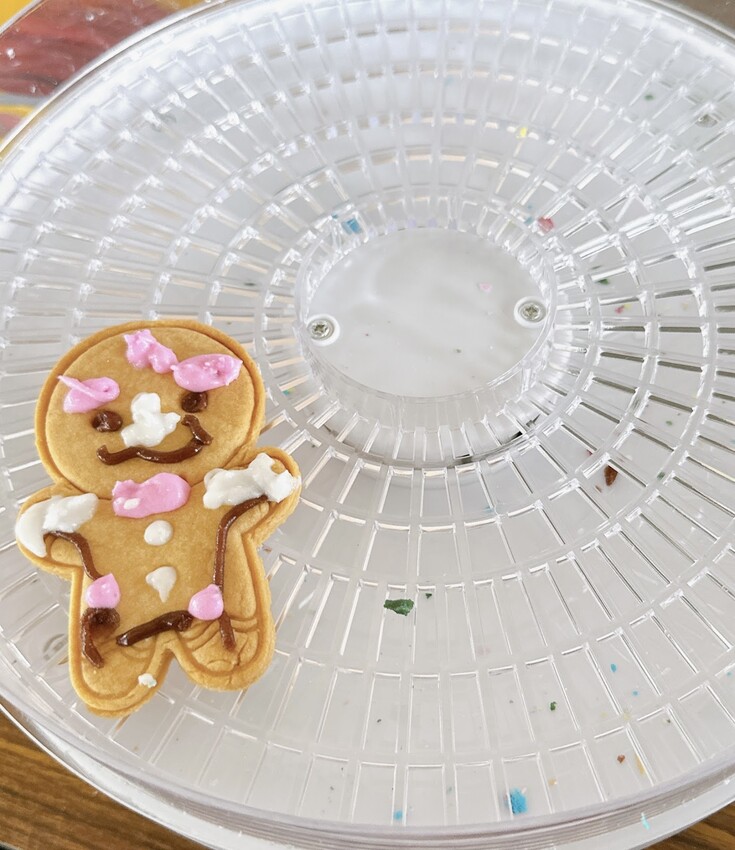 屏東縣潮州鎮免費景點～潮洲 潮好玩幸福村  潮幸福薑餅村X金勾杯潮好玩市集和全天開放的共融遊戲場、不定期市集活動，絕