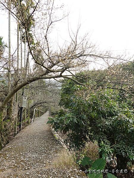 台中-新社梅花隧道 (8).jpg