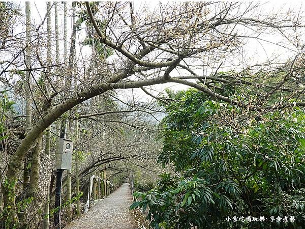 台中-新社梅花隧道 (9).jpg