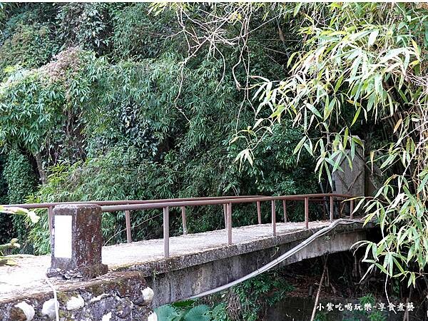 台中-新社梅花隧道 (16).jpg